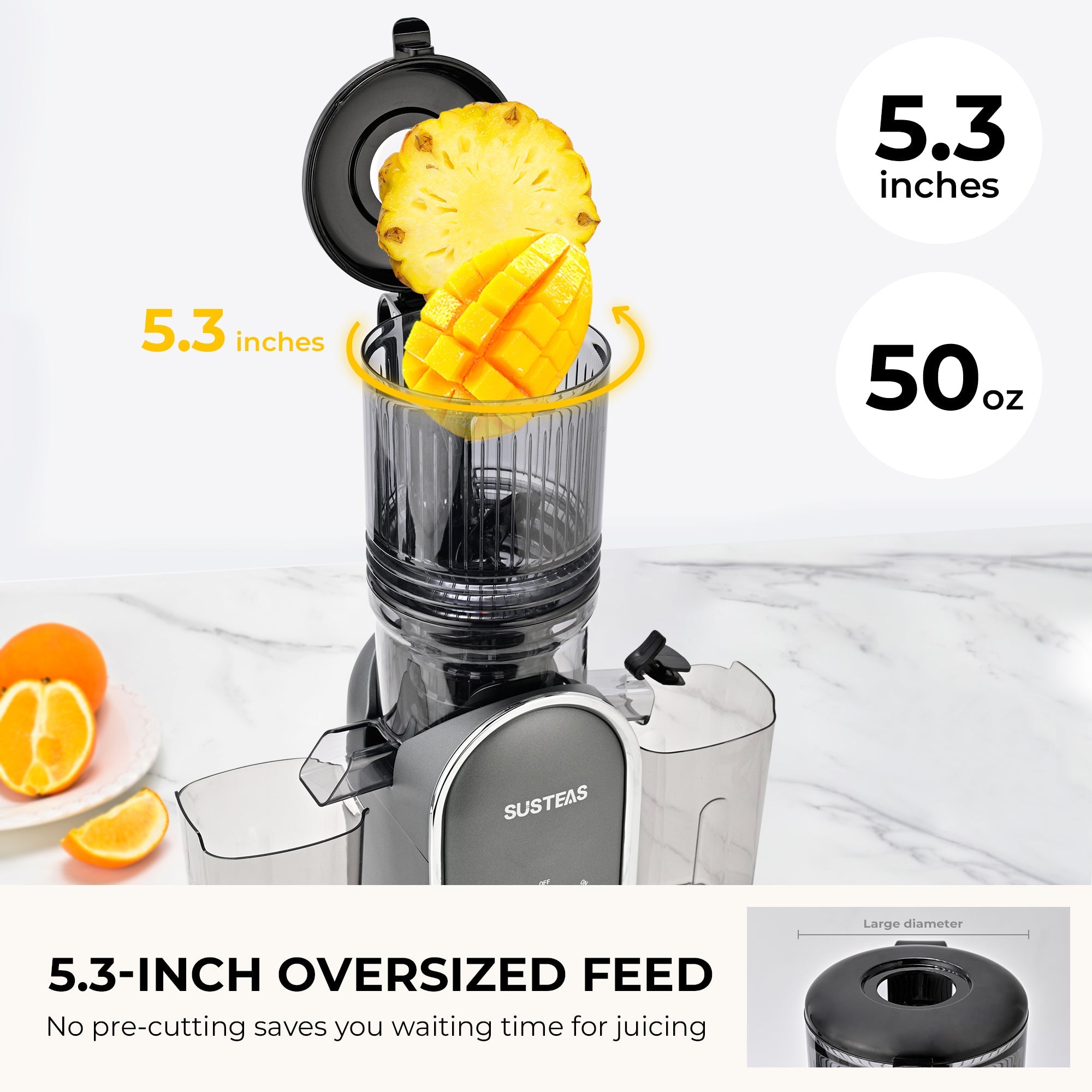 SUSTEAS Fruit Juicer for home, Dark Gray