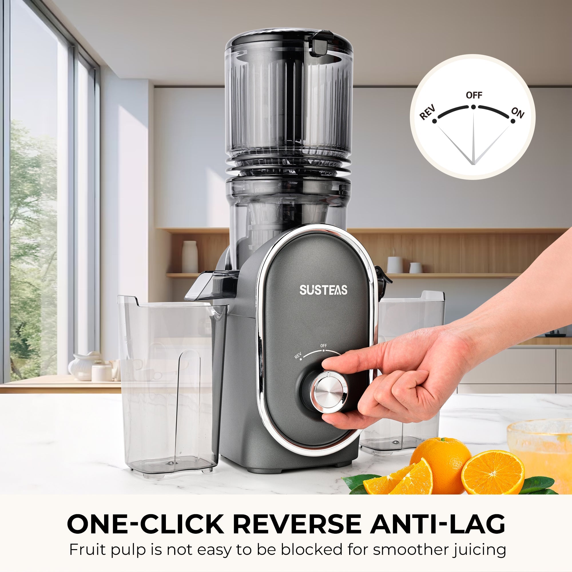 SUSTEAS Fruit Juicer for home, Dark Gray