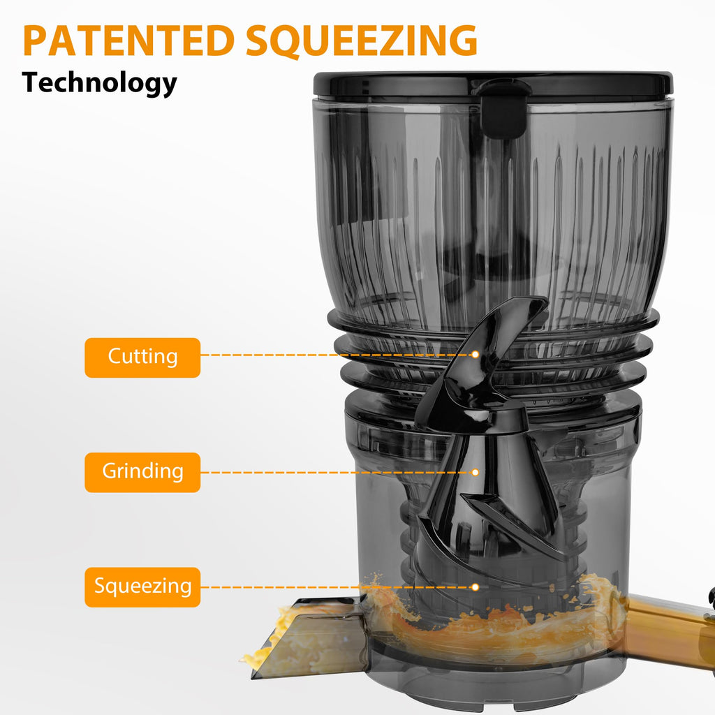 SUSTEAS Fruits and Vegetables Juicer Machine for Home, Grey Color